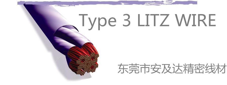 Type 3 LITZ_副本_副本.jpg